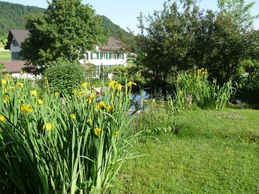 Gastehaus Zum Tulpenbaum Bed & Breakfast Turbenthal Dış mekan fotoğraf